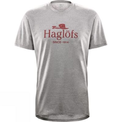 Tee Haglofs Camp Hombre Gris - Chile EVK109526